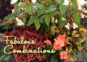 FabulousCombinations