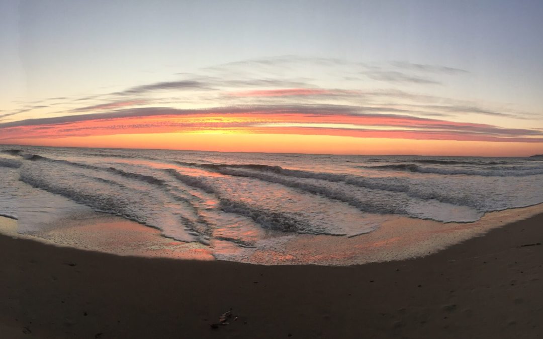 The Shamanic Journey: A Three-Part Series with SabrinaJoy