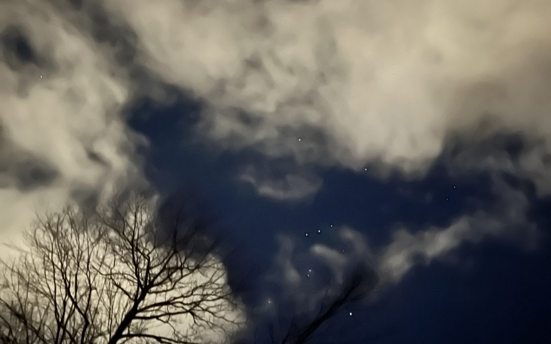 The Stars are Singing