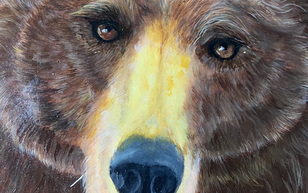 What the Bear Told Me